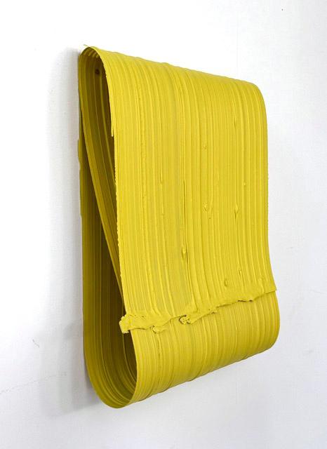 Bow and Bend (acacia) - Ruth Campau 